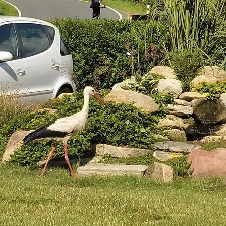 Pod Kovarnou Δωμάτια σε οικογενειακή κατοικία Stara Cervena Voda
