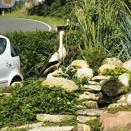 Pod Kovarnou Δωμάτια σε οικογενειακή κατοικία *